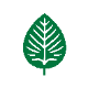 Green Leaf Icon Free